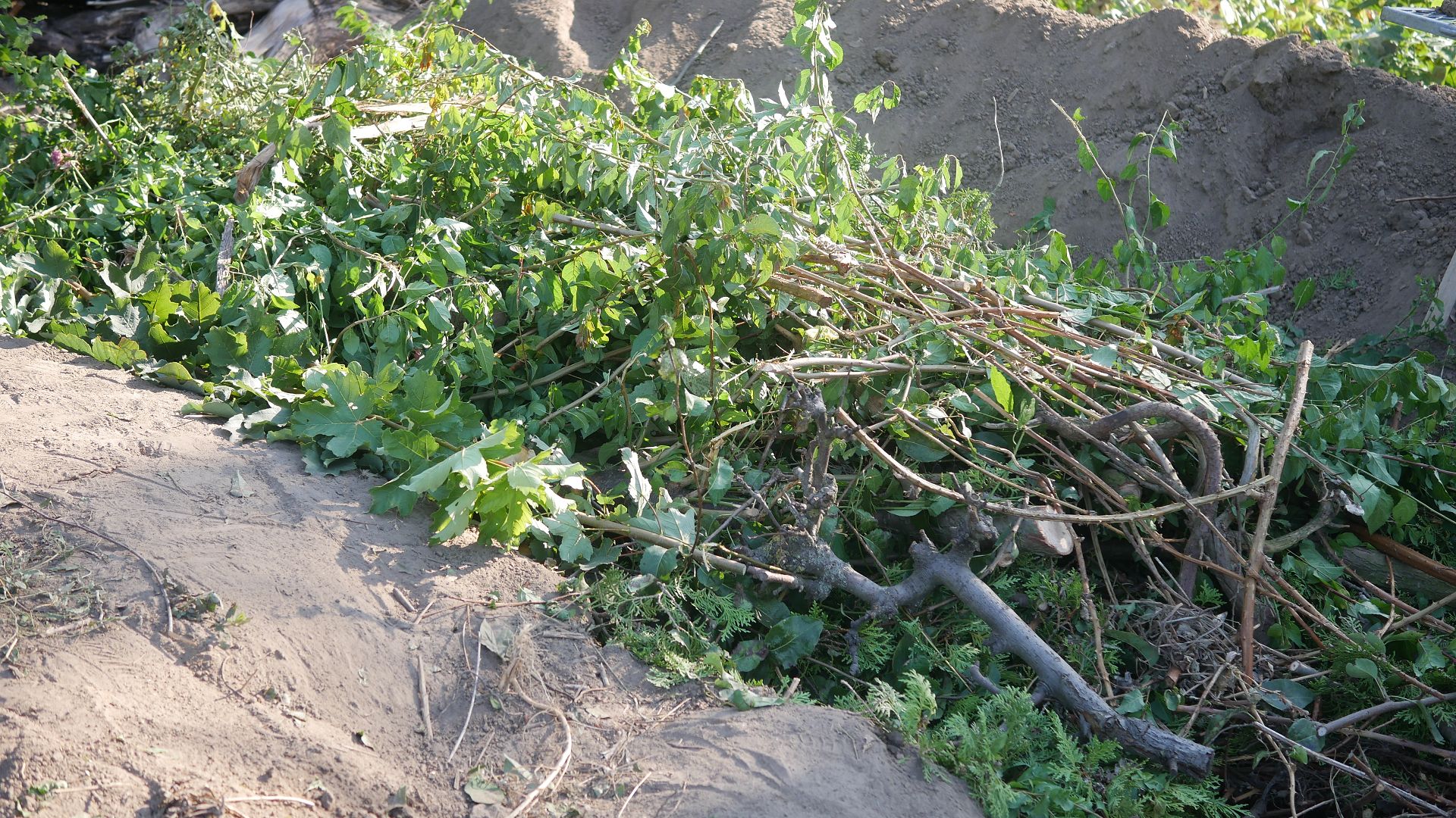 Eine Handvoll Tipps Furs Hugelbeet Naturgartenideen