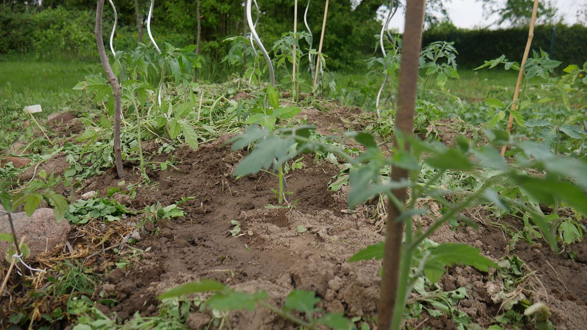 Eine Handvoll Tipps Furs Hugelbeet Naturgartenideen