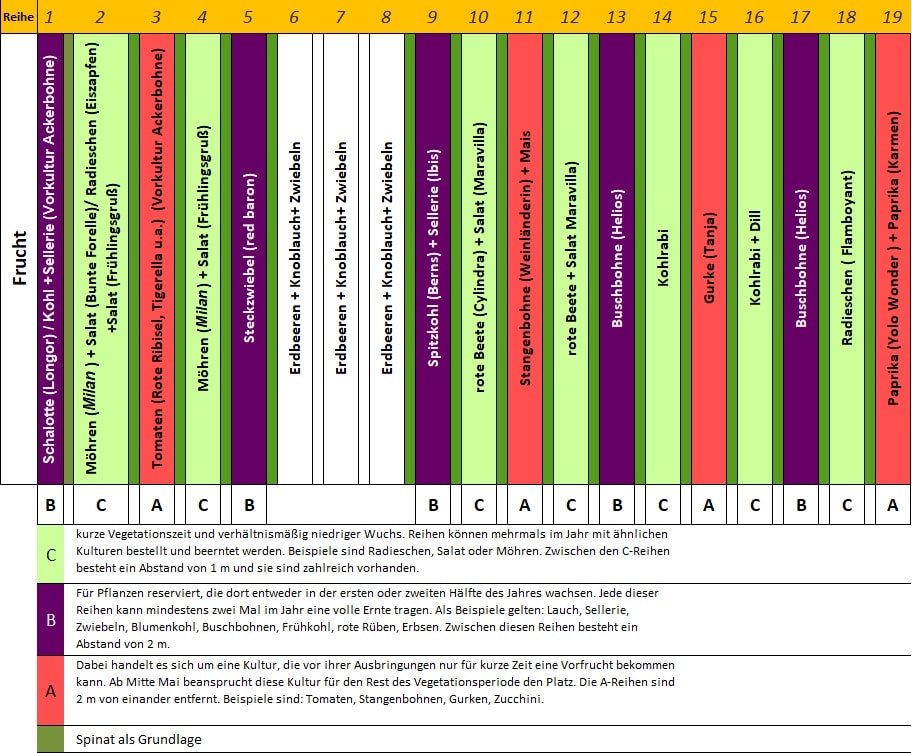 Gemüsebeet anlegen Mischkultur Beet Reihenmischkultur Beetplan Beetvorbereitung Gemüse im Garten eigenes Gemüse Pflanzschilder Gute Nachbarn