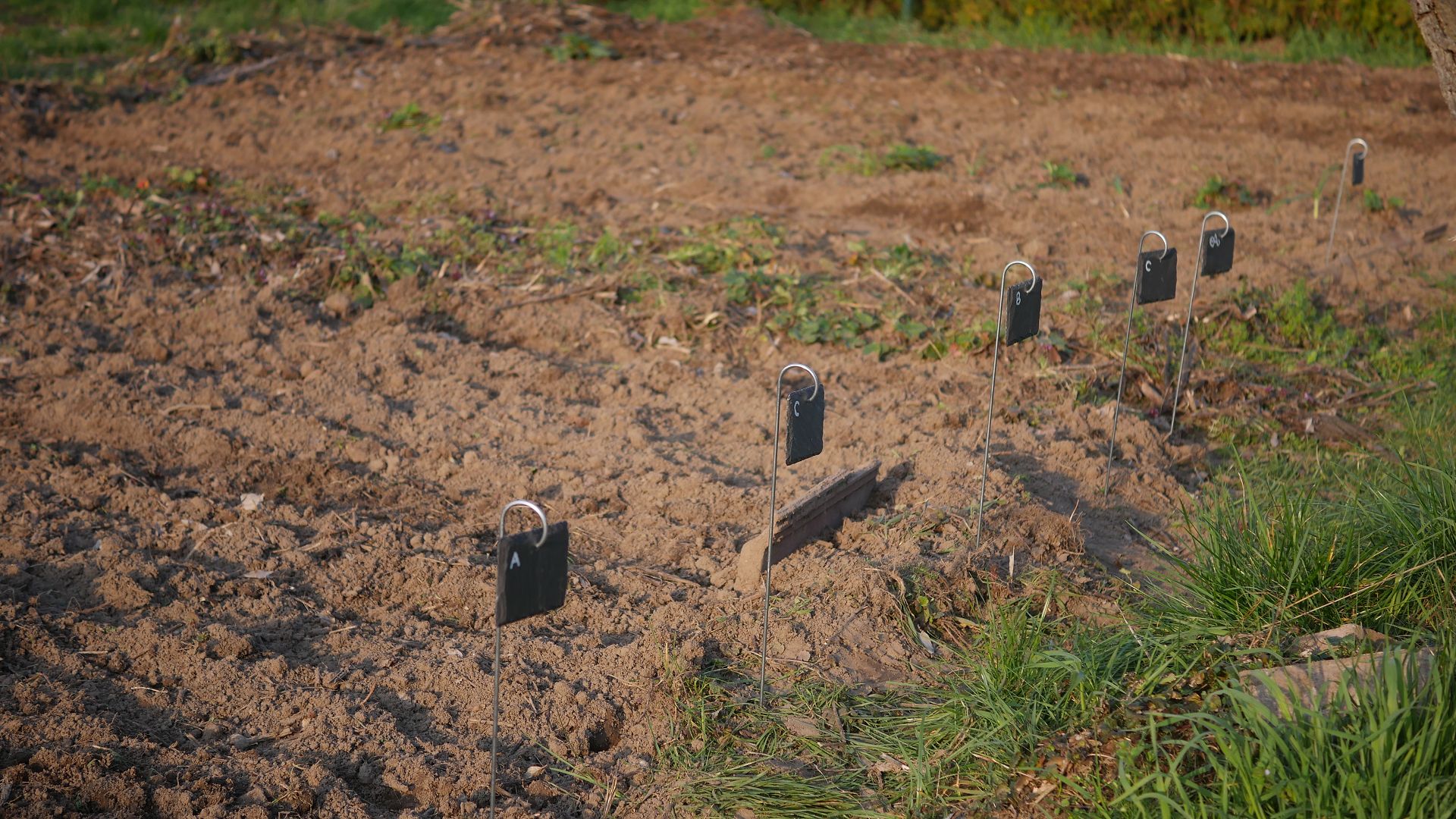 Gemüsebeet anlegen Mischkultur Beet Reihenmischkultur Beetplan Beetvorbereitung Gemüse im Garten eigenes Gemüse Pflanzschilder Schiefer Gute Nachbarn